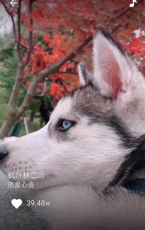 乐刷刷APP截图