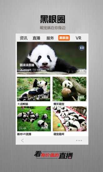 金熊猫app截图