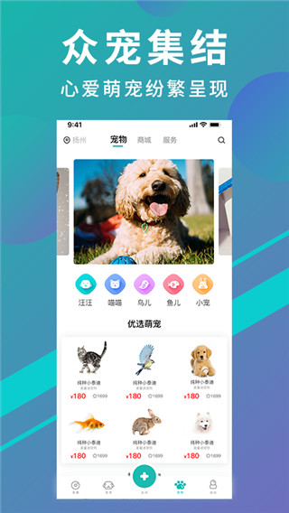 宠都app