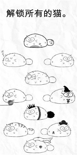 FattyCat app
