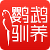 鹦鹉驯养app下载