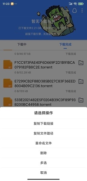浩克下载器最新版