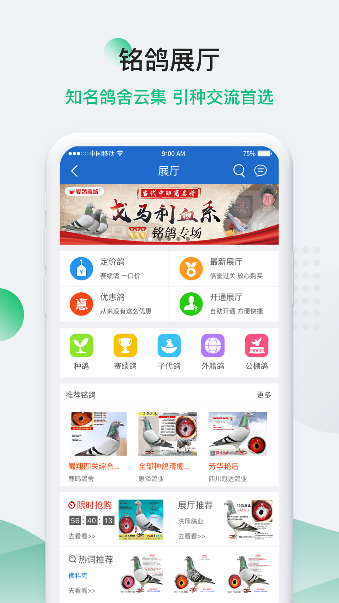 中国信鸽信息网手机版