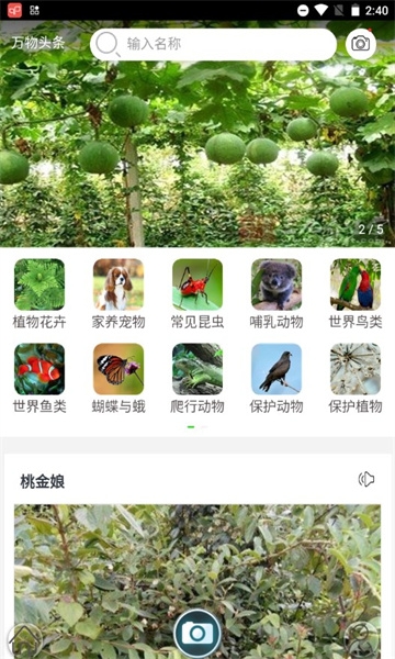 识万物扫一扫app下载