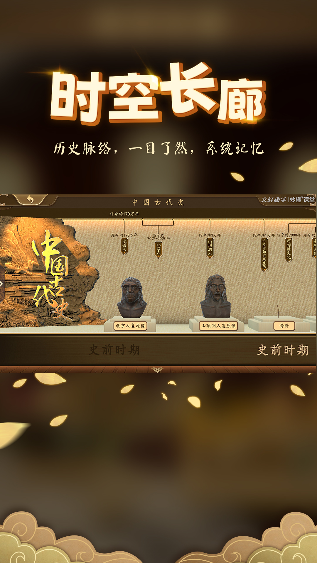 妙懂初中历史app免费版