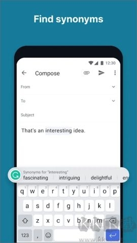 grammarly网页版