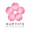樱花box盒子app下载