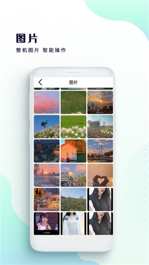 绿雾影视安卓版下载