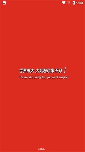 皮荼熊tv下载
