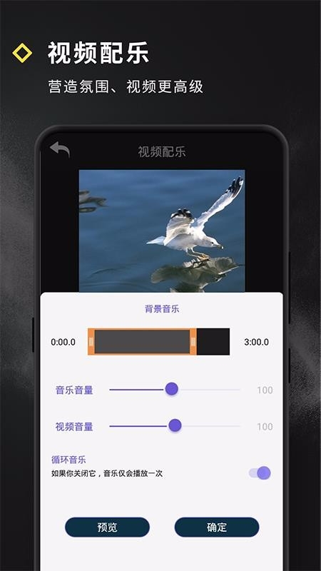卡点视频大师app下载