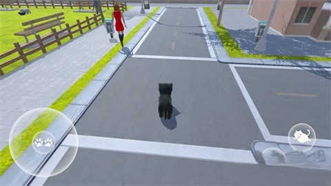 猫的冒险游戏
