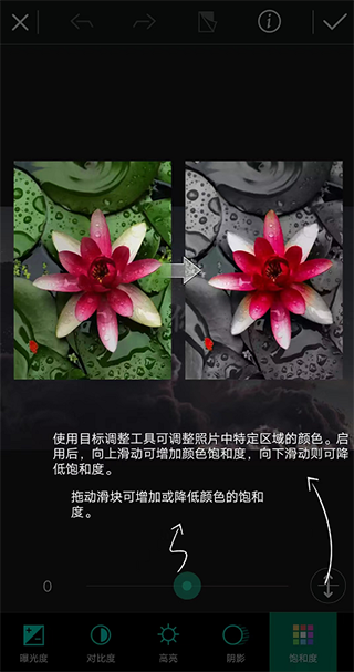 相片大师app下载最新版本