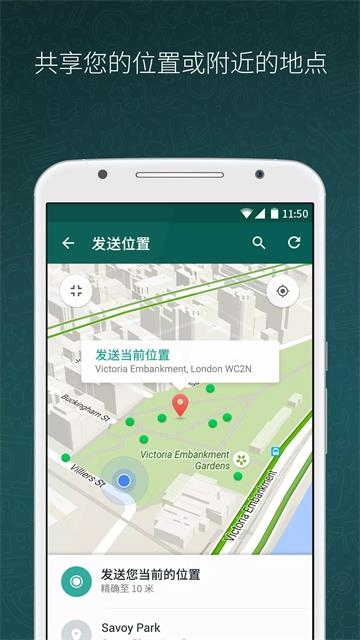 纸飞机app下载