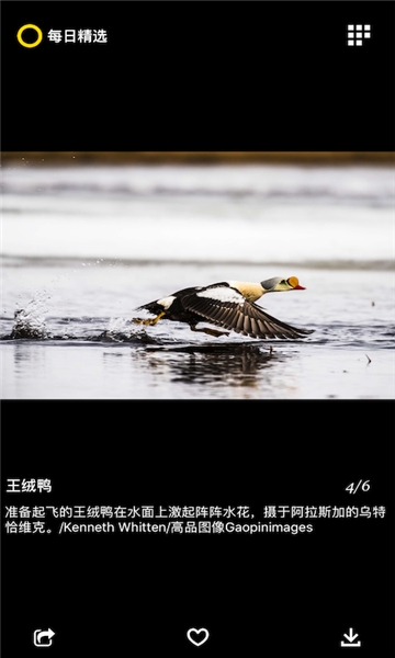 每日精选app下载最新版