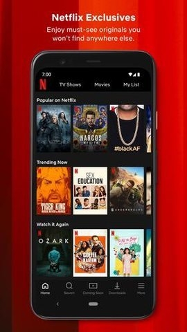 奈飞netflix官网中文版