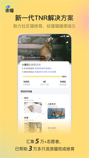 哈啰街猫app安卓版