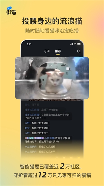 哈啰街猫app安卓版