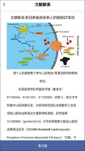 pubmed汉化版
