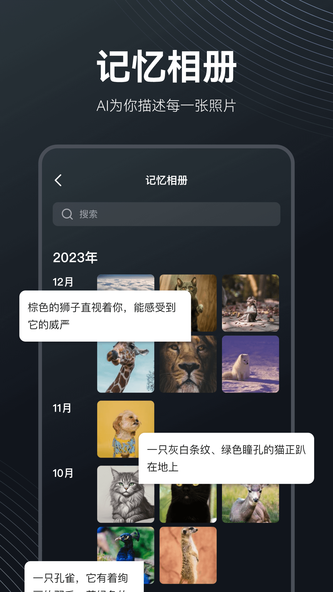 MetaMind官方版下载