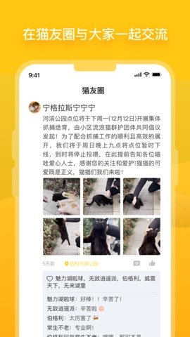 街猫app官方正版下载
