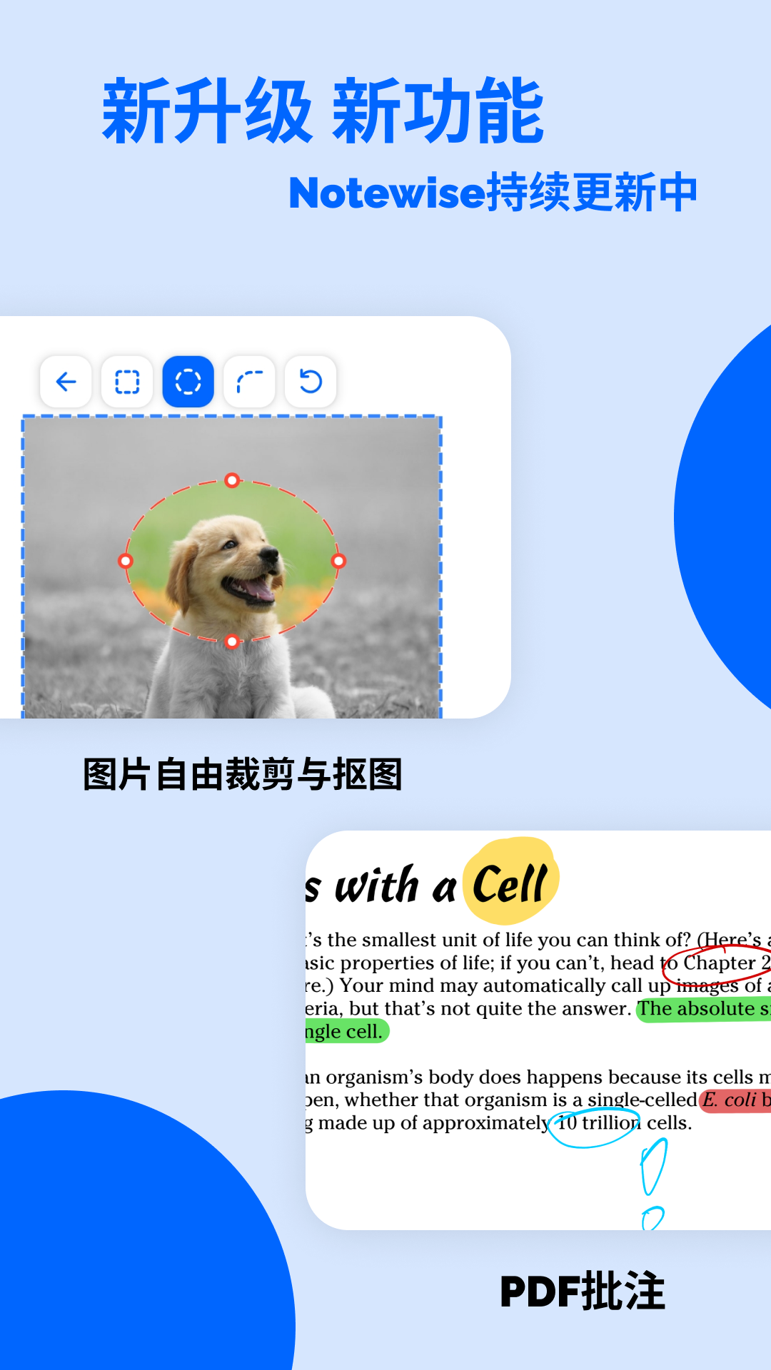 Notewise官网版下载