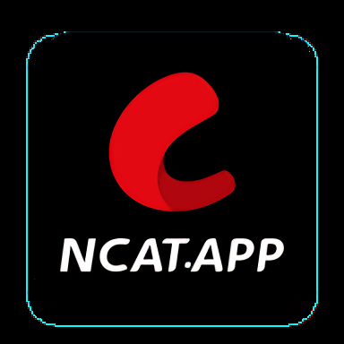 网飞猫追剧正版下载