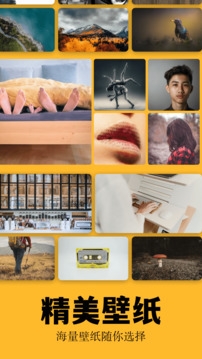 彩虹猫pro正版下载官网